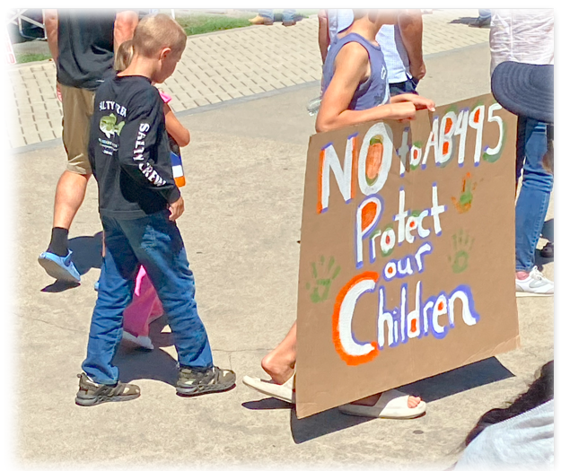 Even the kids were out voicing views