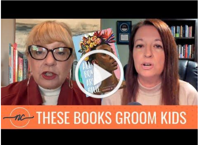 Pornographic books in school libraries